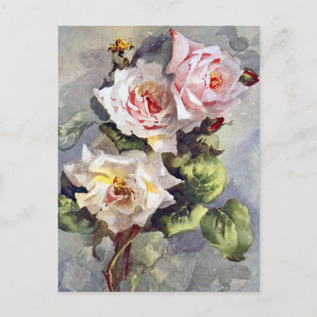 Schöne Elegant Rosa Wasserfarben Malerei Postkarte (Vorderseite)
