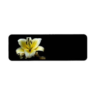 Schöne elegante gelbe auf schwarzer Blüte