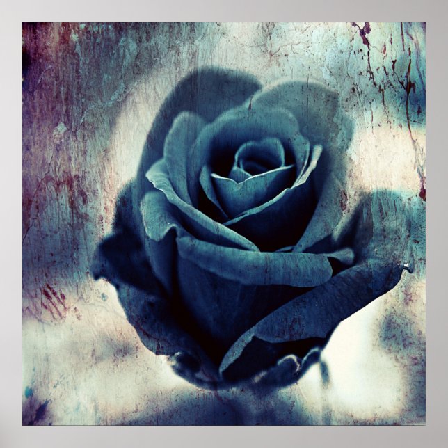 Schöne Elegante Magical Artistic Blue Rose Poster (Vorne)