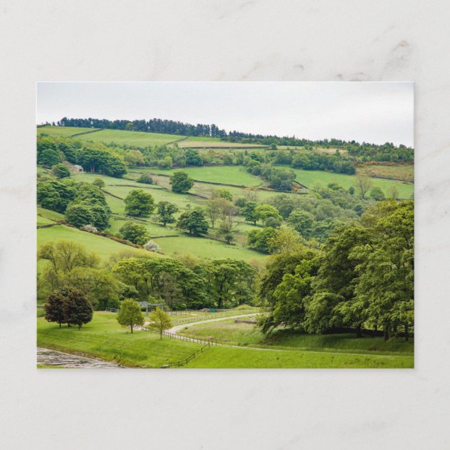 Schöne englische Landschaft Yorkshire Dales Postkarte (Vorderseite)
