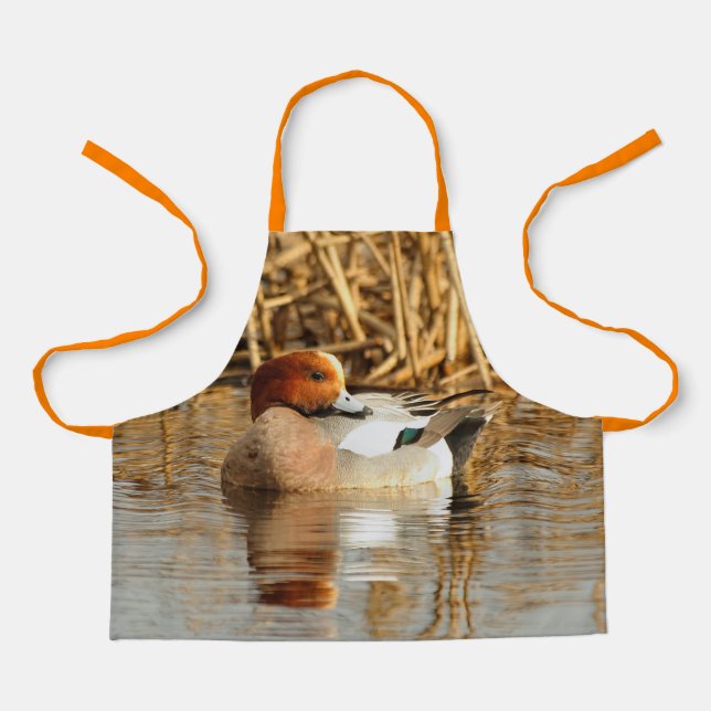 Schöne eurasische Wigeon-Ente am Teich Schürze (Vorderseite)