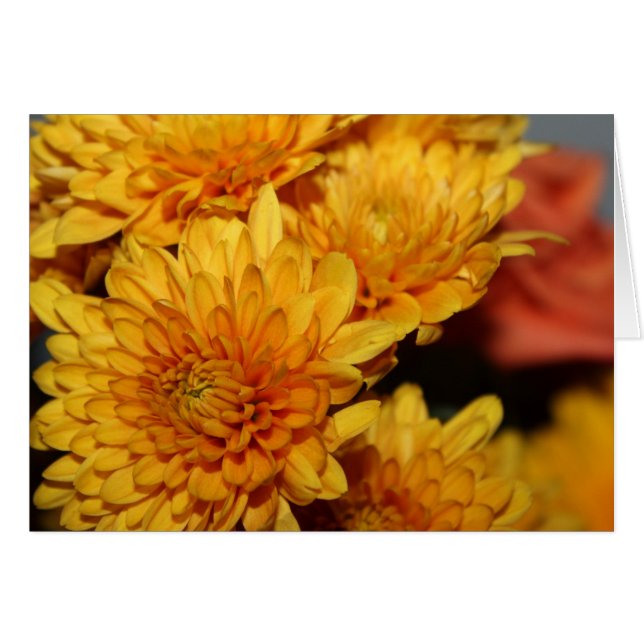 Schöne Fall-Blume (Vorderseite (Horizontal))