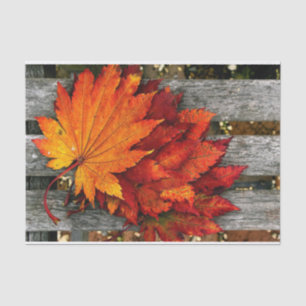 Schöne Fall Red Blätter auf Holzzaun Seidenpapier