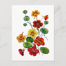 Schöne Farben bestickt Nasturtien Postkarte