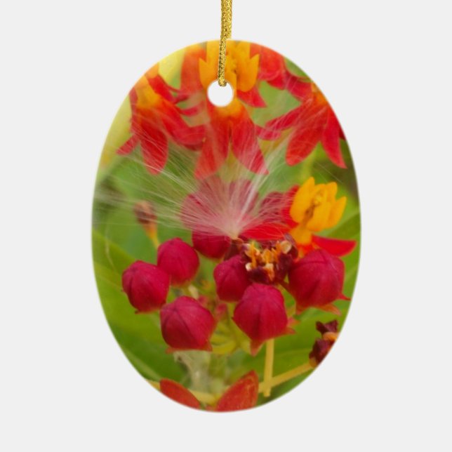 Schöne, farbenfrohe Blüte mit Milkweed Art Printin Keramikornament (Vorne)
