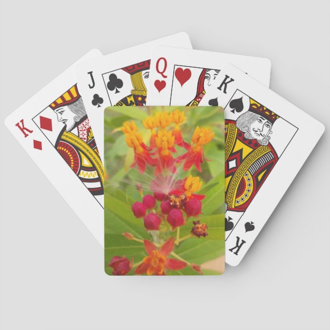 Schöne, farbenfrohe Blüte mit Milkweed Art Printin Spielkarten (Rückseite)