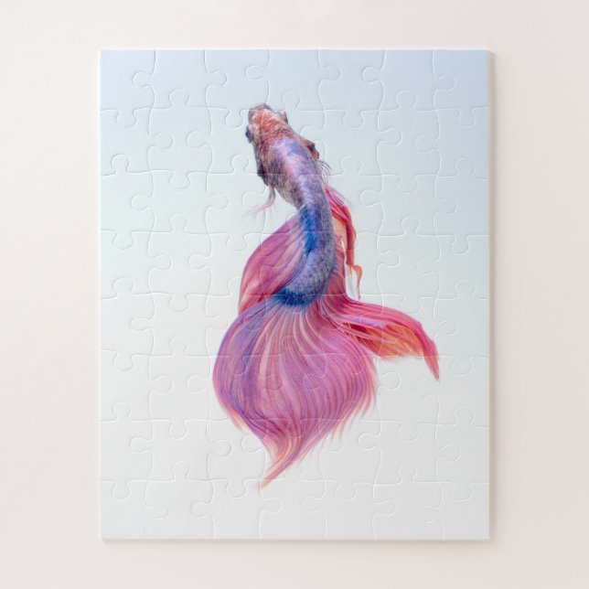 Schöne farbenfrohe Fantasie Koi Fish (Vertikal)
