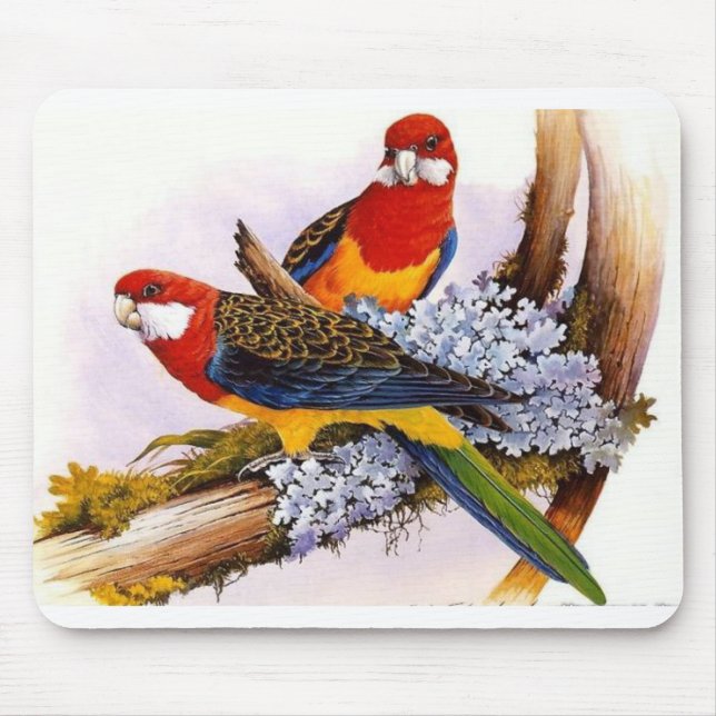 Schöne farbenfrohe Papageien Mousepad (Vorne)