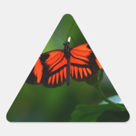 Schöne, feine Rot- und Schwarzschmetterling Dreieckiger Aufkleber