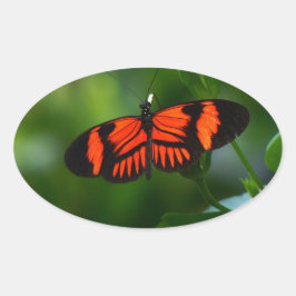 Schöne, feine Rot- und Schwarzschmetterling Ovaler Aufkleber