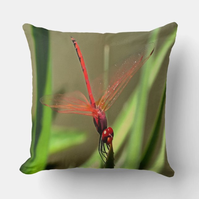 Schöne Firecracker Dragonfly Akryllische Malerei Kissen (Vorderseite)