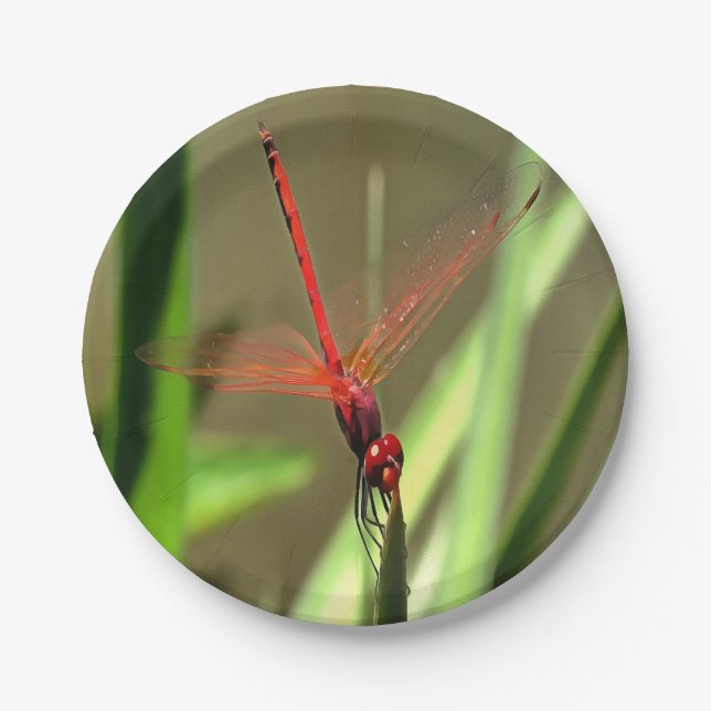 Schöne Firecracker Dragonfly Akryllische Malerei Pappteller (Vorderseite)