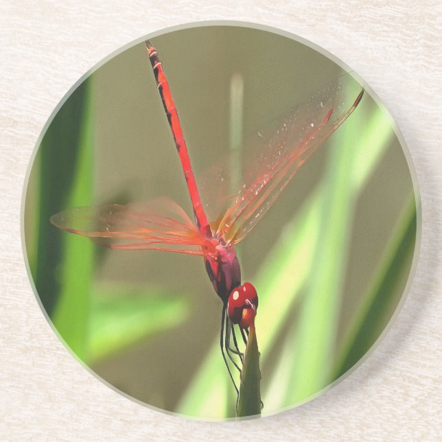 Schöne Firecracker Dragonfly Akryllische Malerei Sandstein Untersetzer (Vorne)