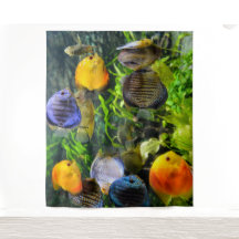 SCHÖNE FISCHE FOTO-BACKDROP