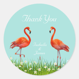 Schöne Flamingos & Blumen auf Türkis Danke Runder Aufkleber