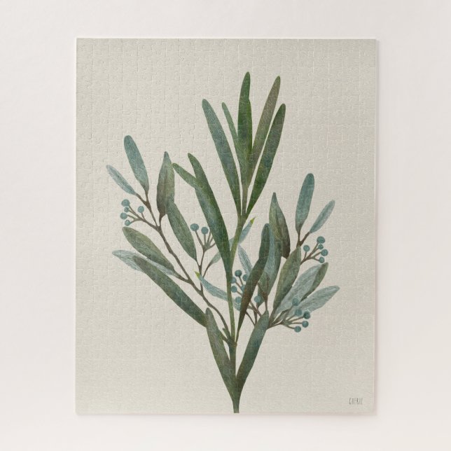 Schöne Foliage | Sage Green Pflanze (Vertikal)