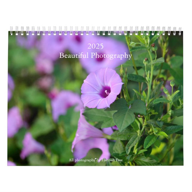 Schöne Fotografie 2025 Kalender (Titelbild)