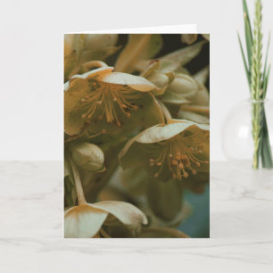 Schöne Fotografie Blumenkarte Blume Karte