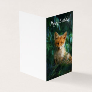 Schöne Fox Geburtstagskarte