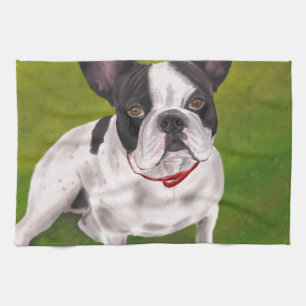 Schöne französische Schwarzweiss-Bulldogge auf Handtuch