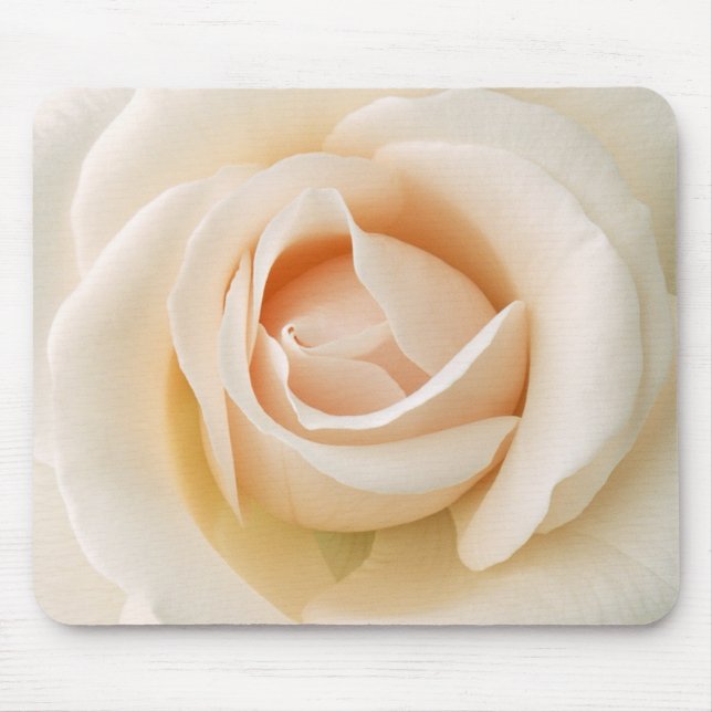 Schöne frische Rose Mousepad (Vorne)