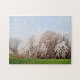 Schöne Frostbaume Österreich Landschaft