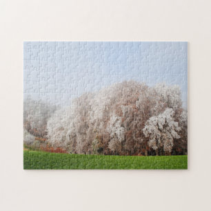 Schöne Frostbaume Österreich Landschaft