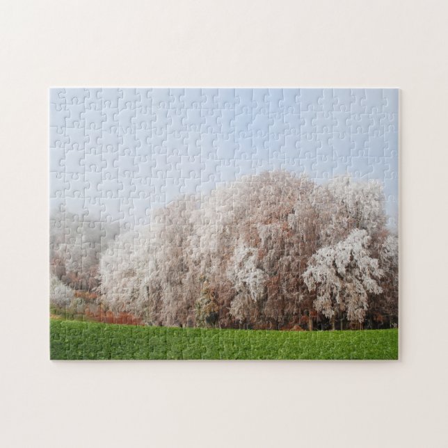 Schöne Frostbaume Österreich Landschaft (Horizontal)