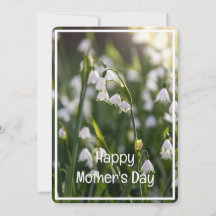 Schöne Frühlingsblumen Muttertag