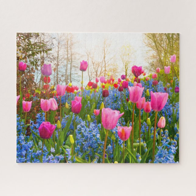 Schöne Frühlingsblumen - Tulips und Hyacinth (Horizontal)