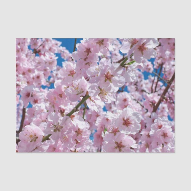Schöne Frühlingsblüten Seidenpapier (Vorderseite)
