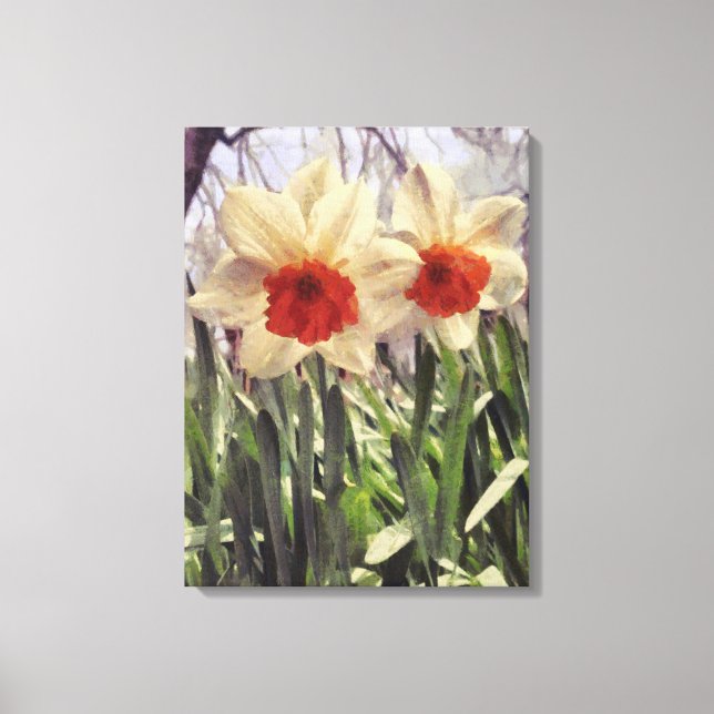 Schöne Frühlingsfarbe gestrichen Daffodil-Blume Leinwanddruck (Vorderseite)