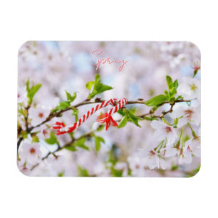 Schöne Frühlingsgrüße Magnet