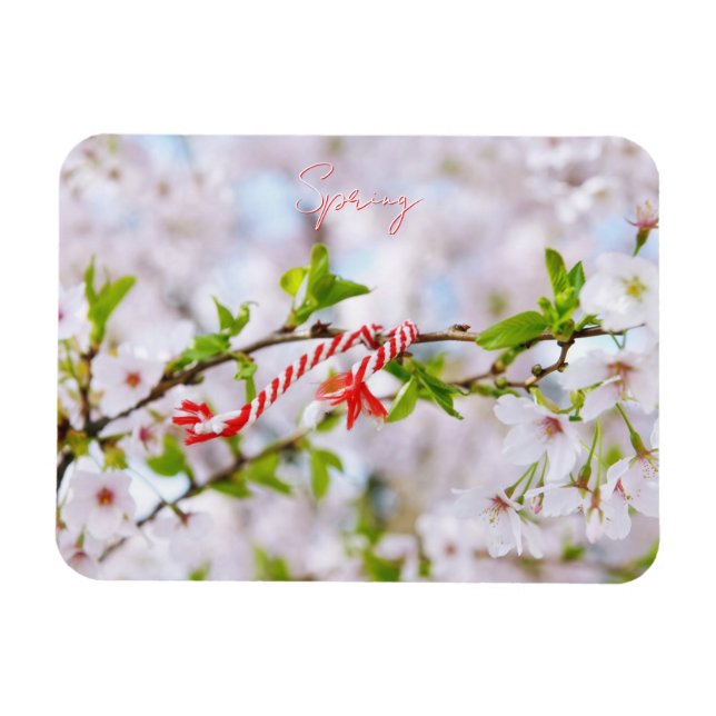 Schöne Frühlingsgrüße Magnet (Horizontal)