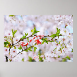 Schöne Frühlingsgrüße Poster