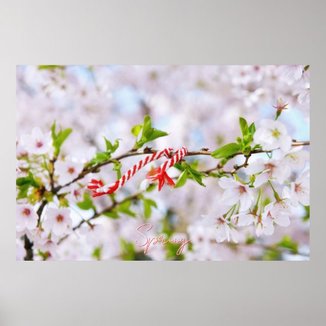 Schöne Frühlingsgrüße Poster (Vorne)