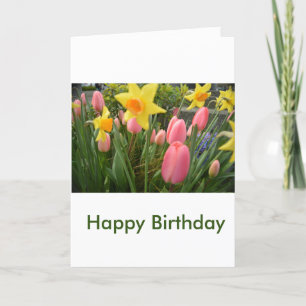 schöne Frühlingspink Tulpe Blume Geburtstag Karte