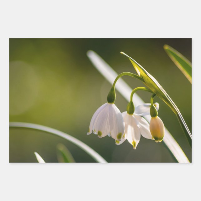 Schöne Frühlingsschneeflocken und Schneeflocken Geschenkpapier Set (Vorderseite)