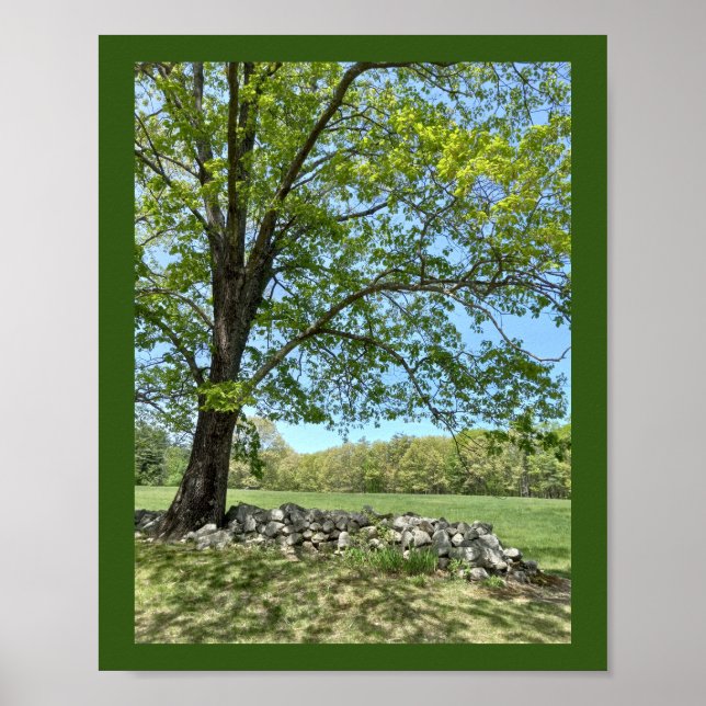 Schöne Frühlingszeitung Poster (Vorne)