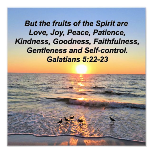 SCHÖNE GALATIANER 5 SONNENREISE FOTODRUCK (Vorne)