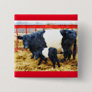 Schöne Galloway Kuh und Kalb Aquarell Button