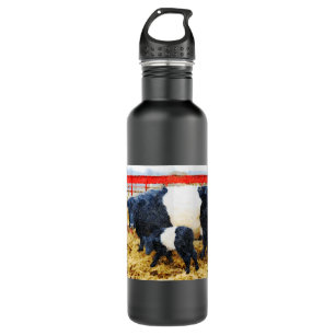 Schöne Galloway Kuh und Kalb Aquarell Edelstahlflasche