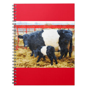 Schöne Galloway Kuh und Kalb Aquarell Notizblock