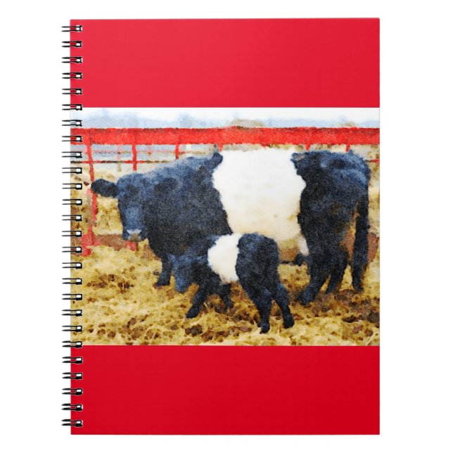 Schöne Galloway Kuh und Kalb Aquarell Notizblock (Vorderseite)