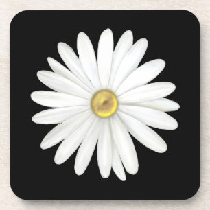 Schöne Gänseblümchen-Blume auf Schwarz Getränkeuntersetzer
