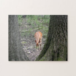 Schöne Gazelle im Wald