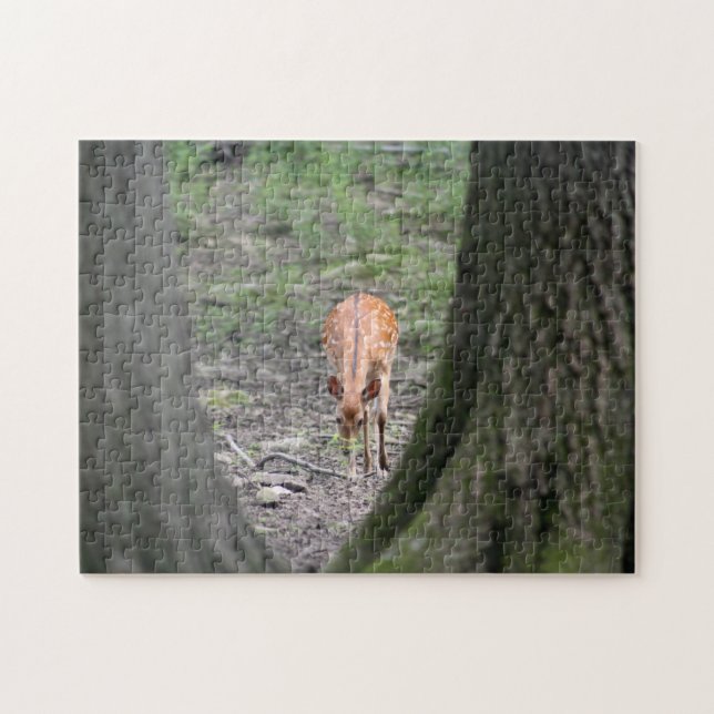Schöne Gazelle im Wald (Horizontal)