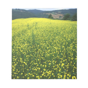 Schöne gelbe Blumen bedeckten Felder von San Notizblock