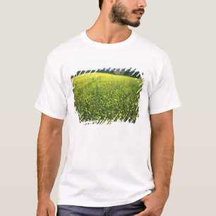 Schöne gelbe Blumen bedeckten Felder von San T-Shirt