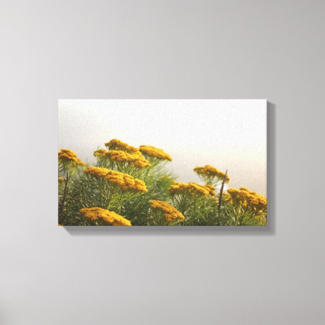 Schöne gelbe Blumen Stretched Canvas Print Leinwanddruck (Vorderseite)